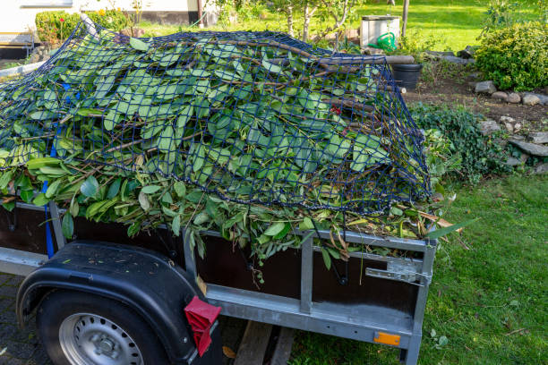 Shed Removal in Windsor, IL